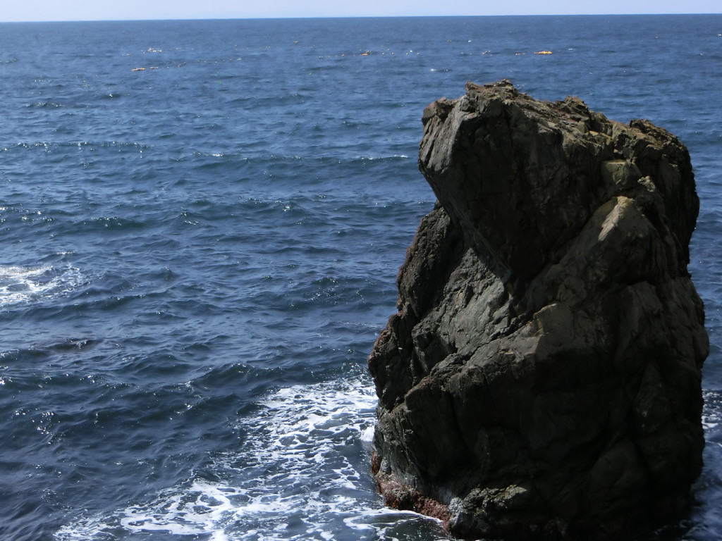 春の海