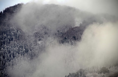 雪景色