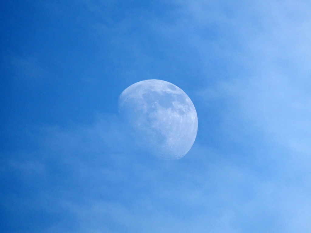 半月と雲