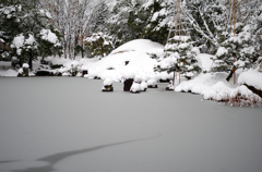 名勝　養浩館庭園