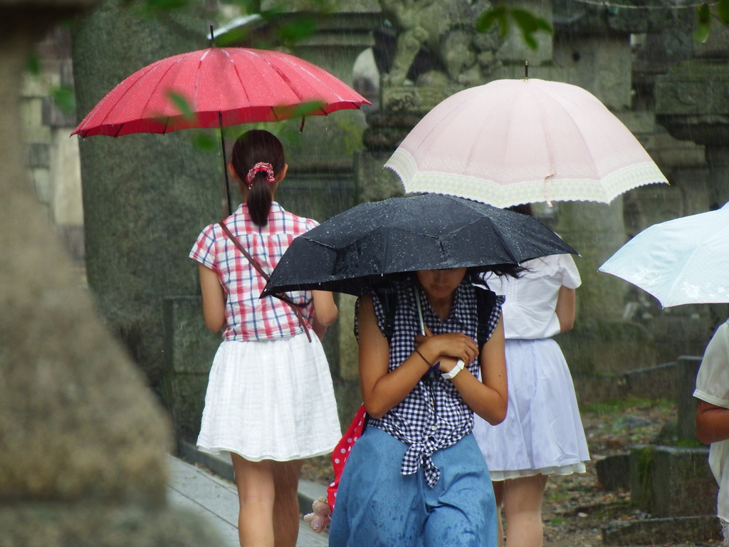 北野天満宮　雨の参拝