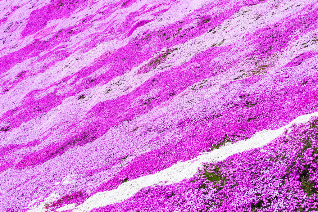 彩流
