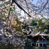 平に和を
