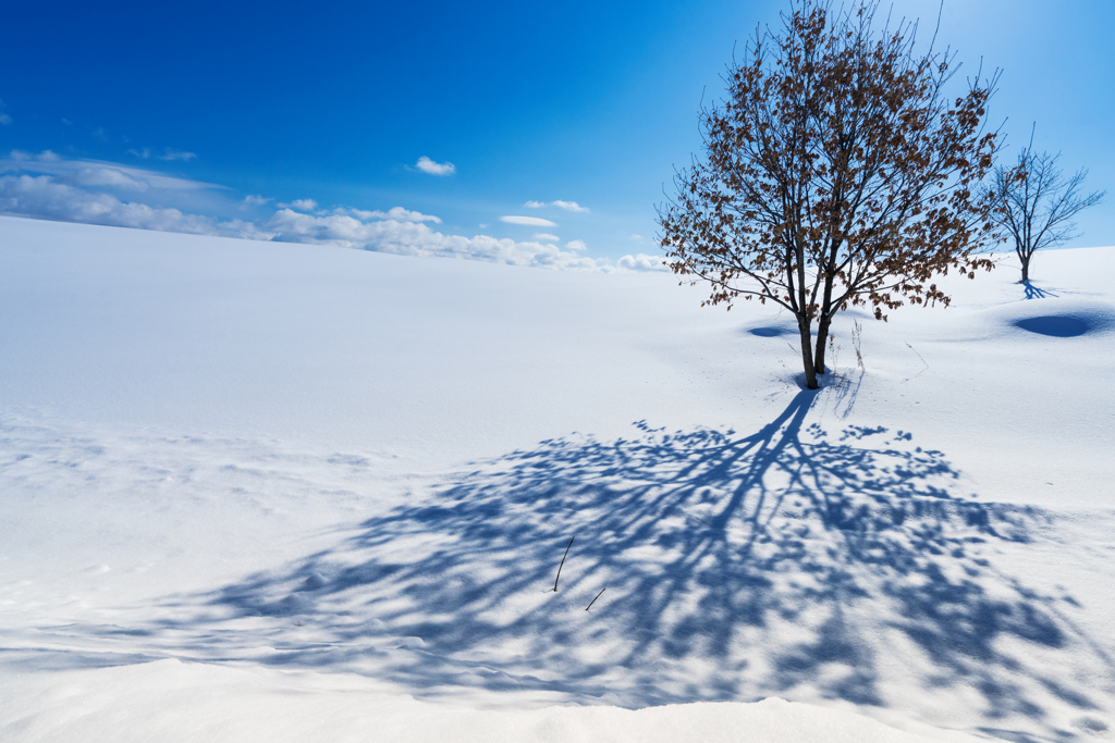 力雪