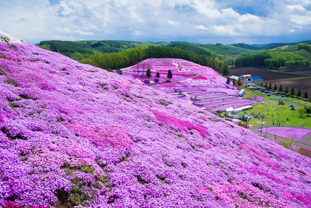 大地の彩り
