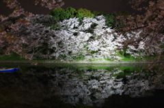 千鳥ヶ淵の夜桜