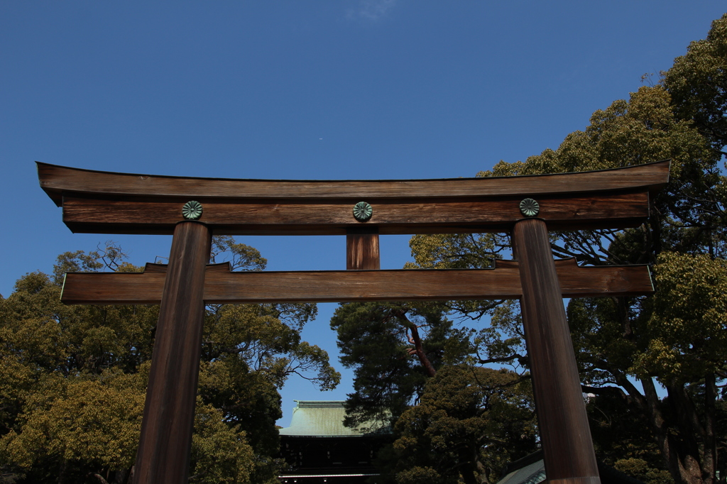 明治神宮