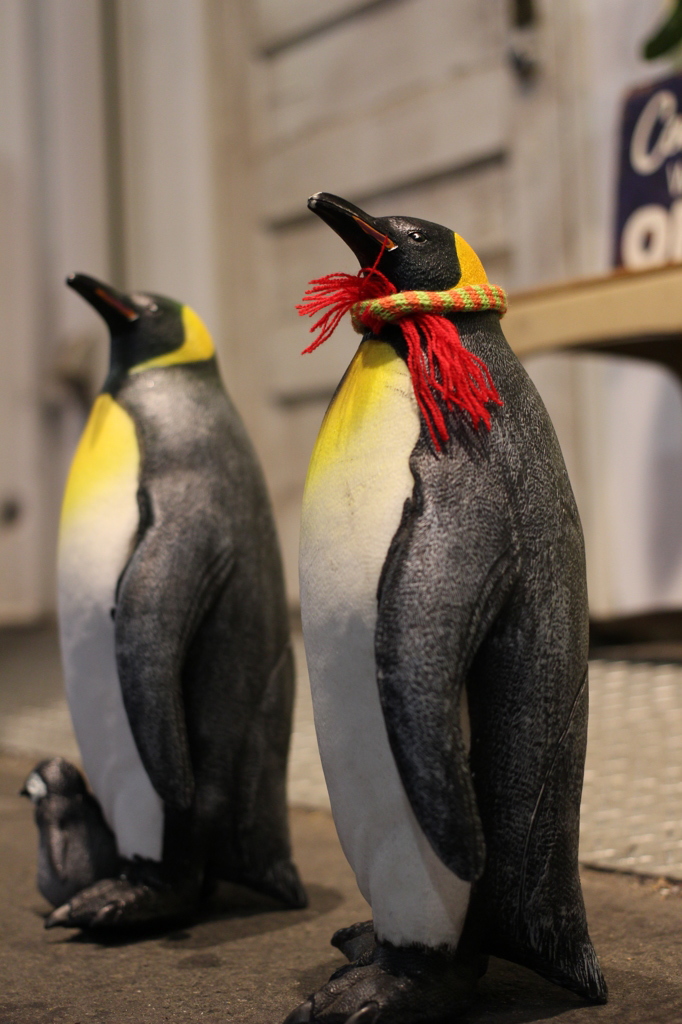 東京ペンギン