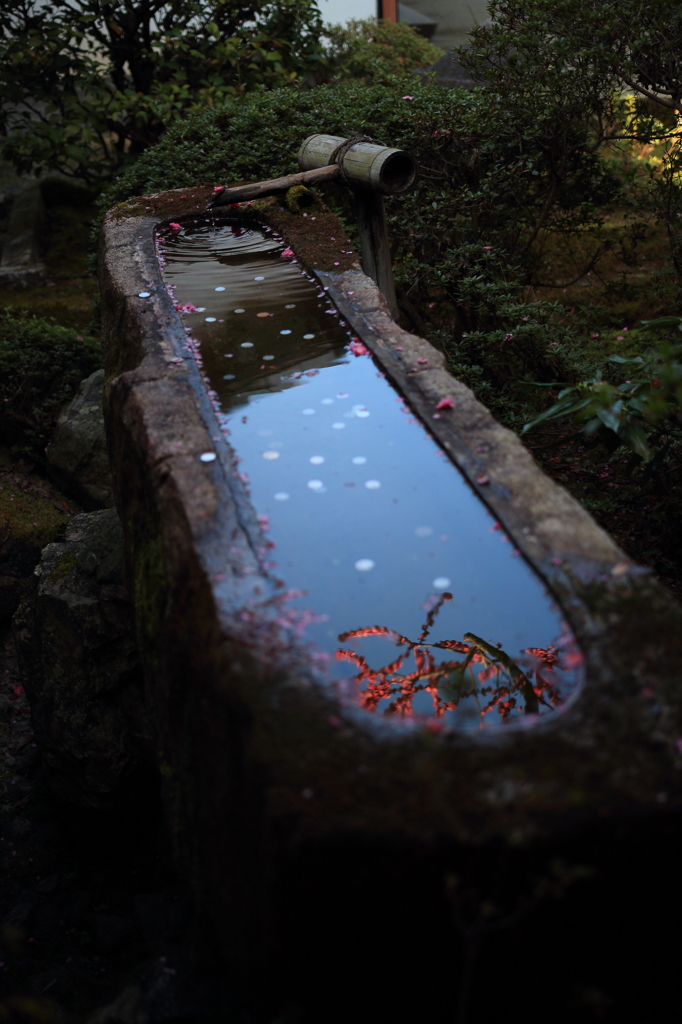 青蓮院 一文字手水鉢