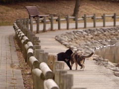 ご挨拶