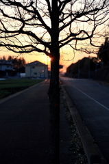 夕暮れ
