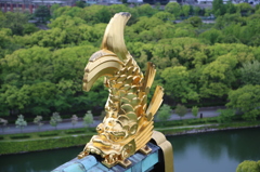 大阪城のシャチホコ