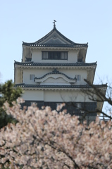 丸亀城と桜