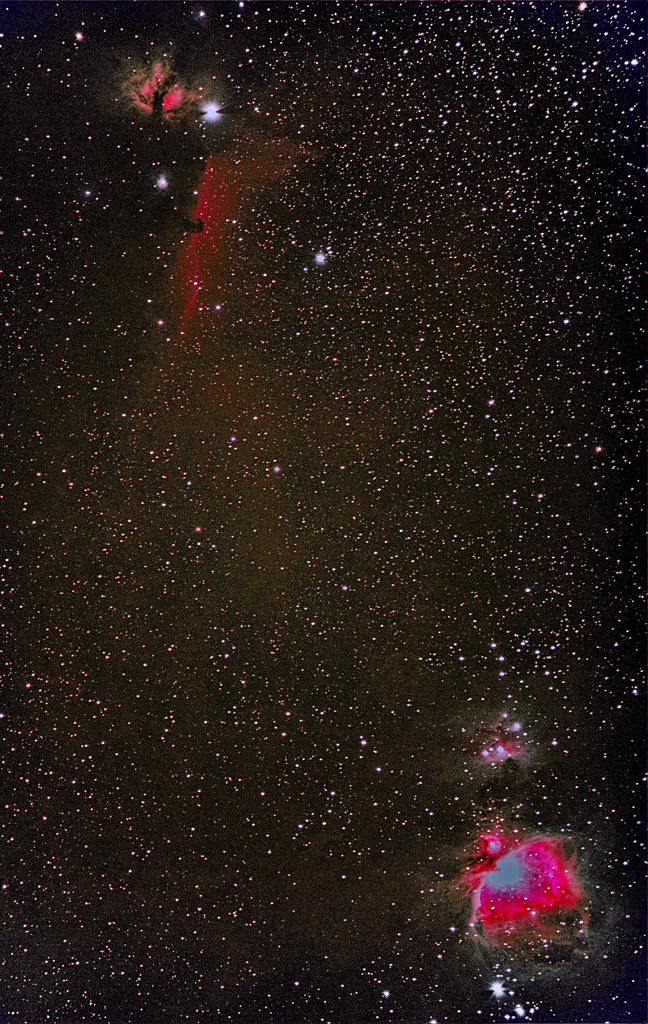 星雲のパレード「燃える木、馬頭星雲、ランニングマン星雲、M42、M43」
