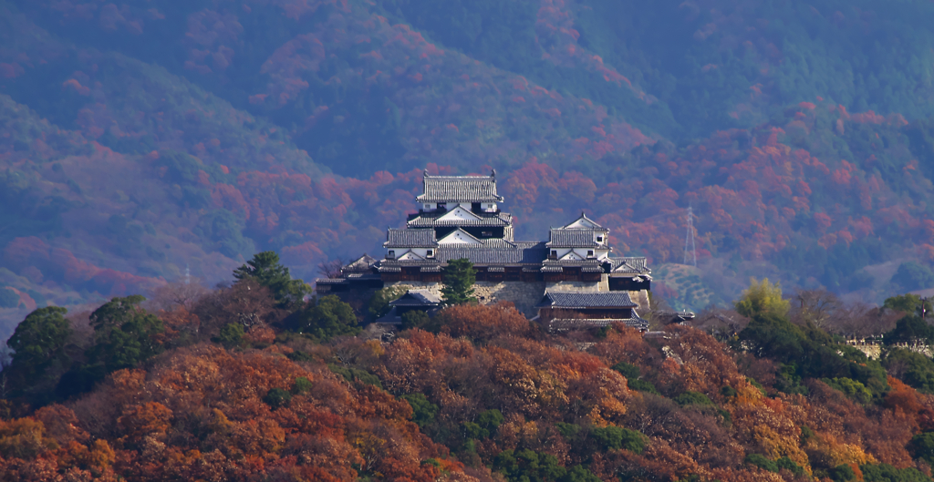 THE　松山城