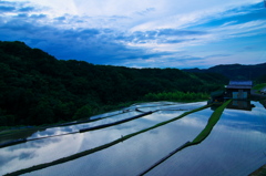 棚田に写る空（愛媛県松山市滝本）旧北条