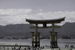 厳島神社（大鳥居）