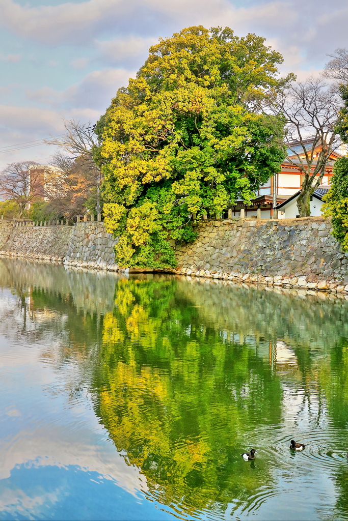 外堀の「受話器」～(´艸｀*)※HDR