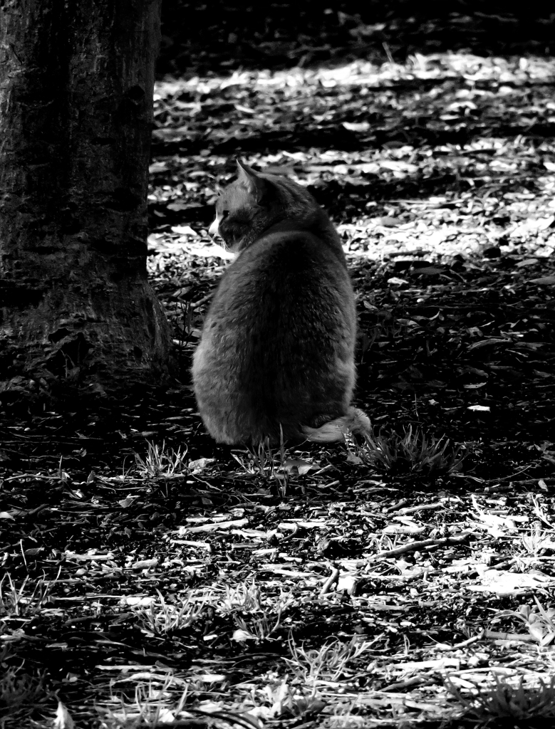 待ちぼうけ・・・