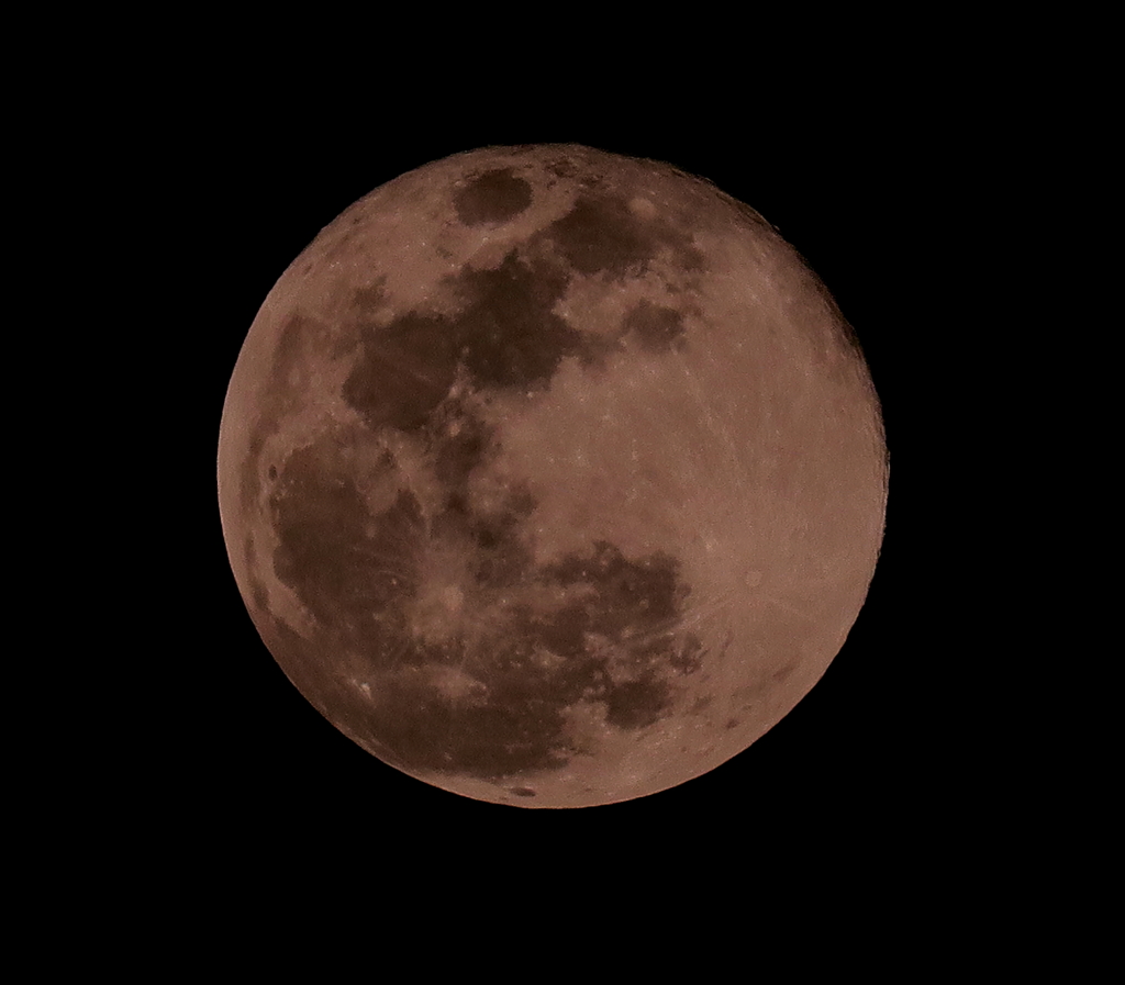 弥生月（やよいづき）