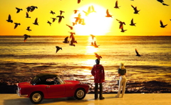 晩秋の海　※スカーレットレッドのホンダS800  1/43