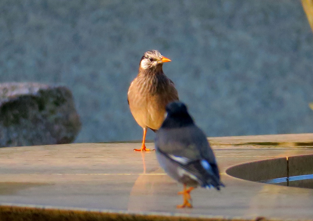 うっ！・・・(;´▽｀A``