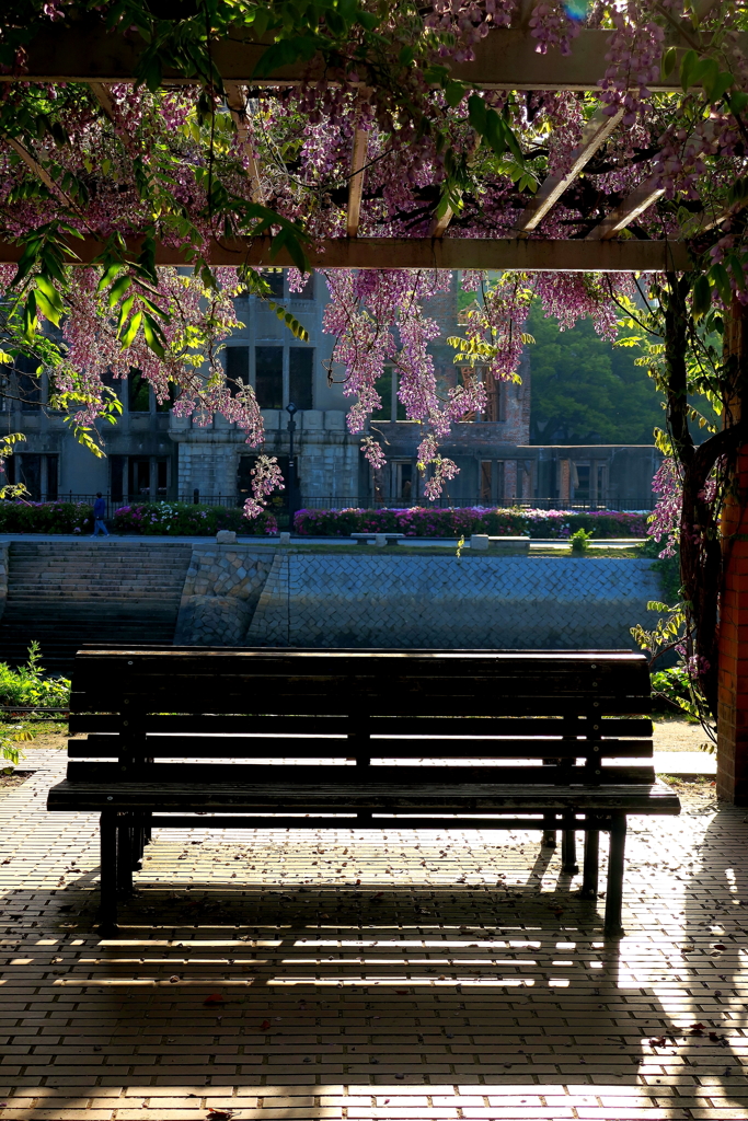 ２）Wisteria（藤の花）