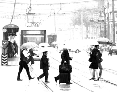 五月雨