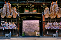 尾道「西国寺」