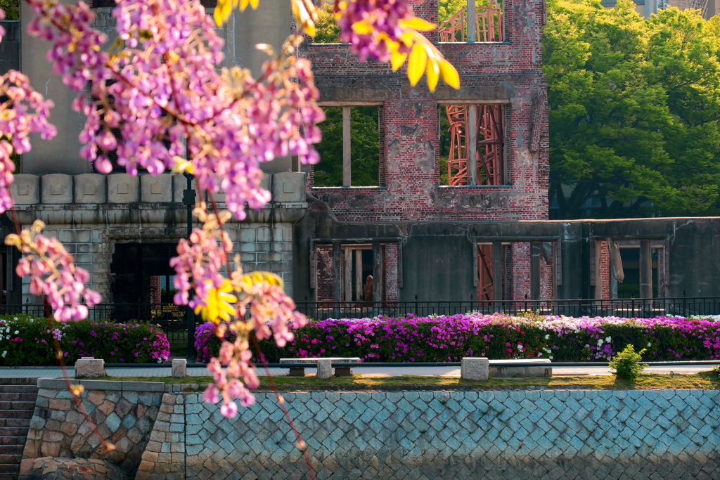 Wisteria and azalea（藤と躑躅）