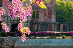 Wisteria and azalea（藤と躑躅）