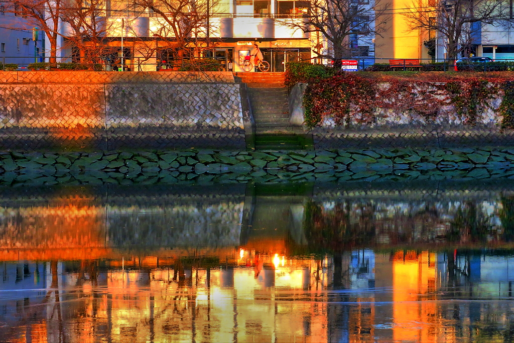 朝陽を受けて・・（HDR)