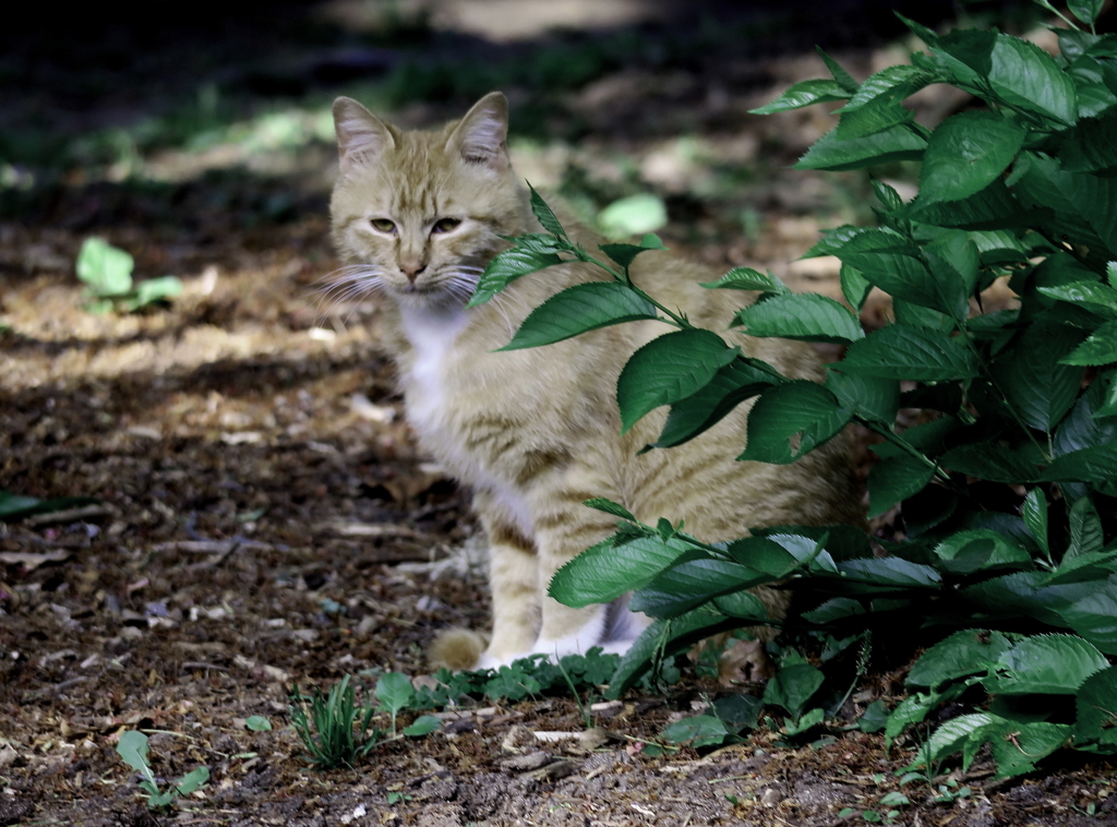 待ちぼうけ・・