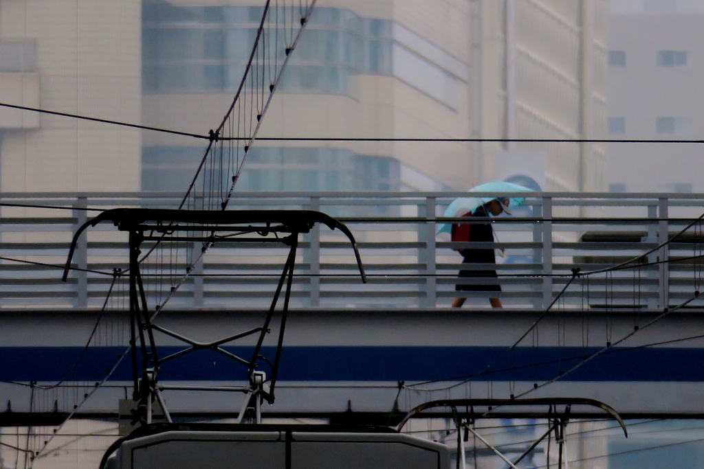 五月雨(パンタグラフと通学児）