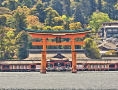 新緑の厳島神社