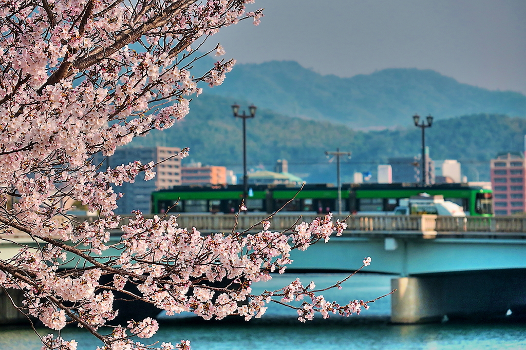 相生橋を通過する路面電車