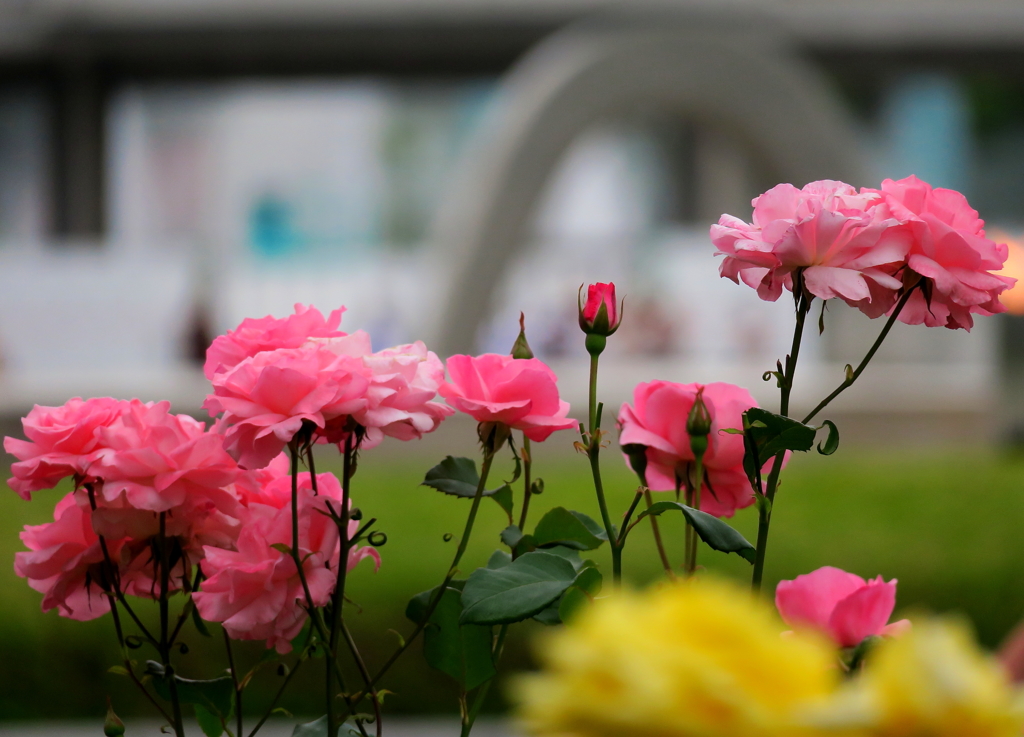 薔薇と慰霊碑