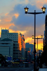 冬の朝（散歩写真）