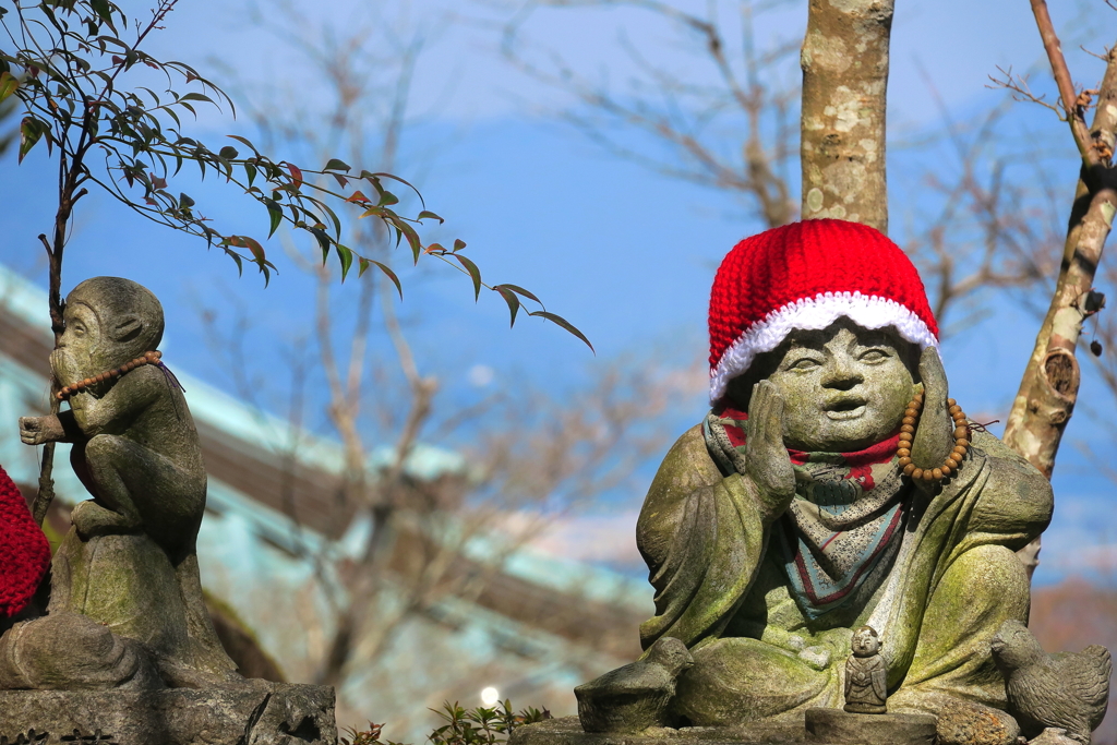 お～い～春が見えたよぉ～～♪