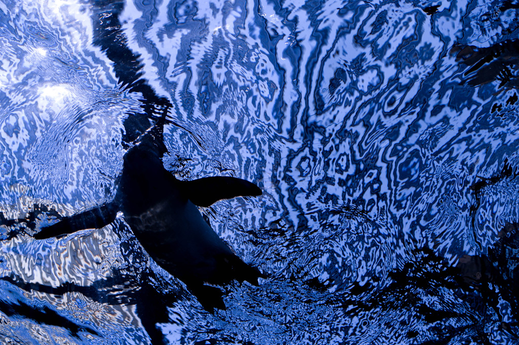 blue ocean