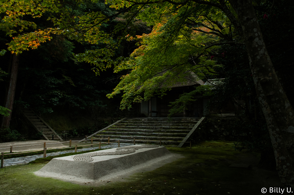 ２０１５年紅葉　其の壱　〜華やぎの予感〜
