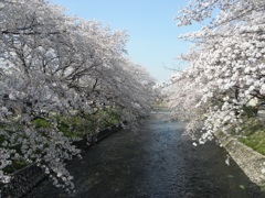 岩倉市 ~五条川~