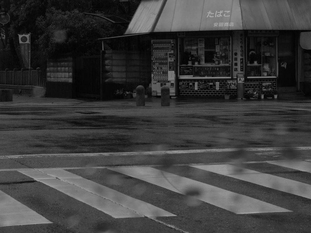 雨の車窓越しに