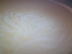 湯けむりうどん