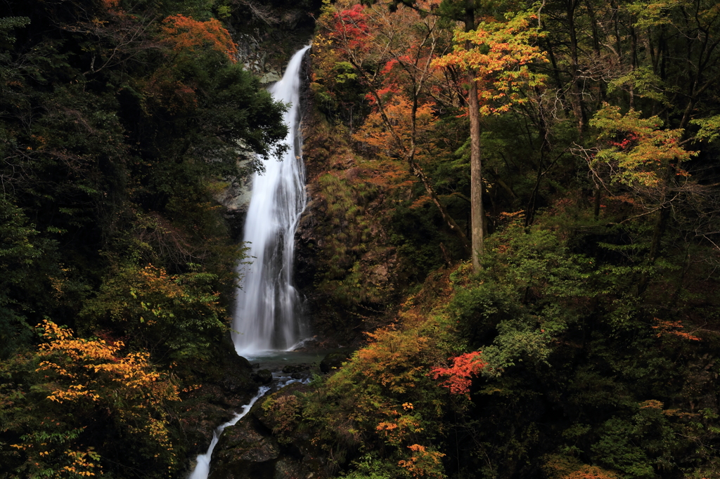 原不動滝 秋合わせ