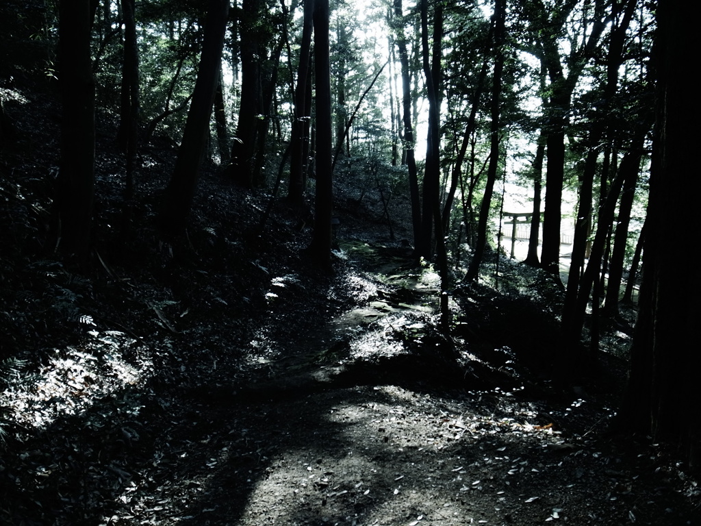とある神社脇の林道