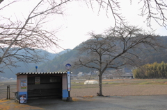 バス停にて