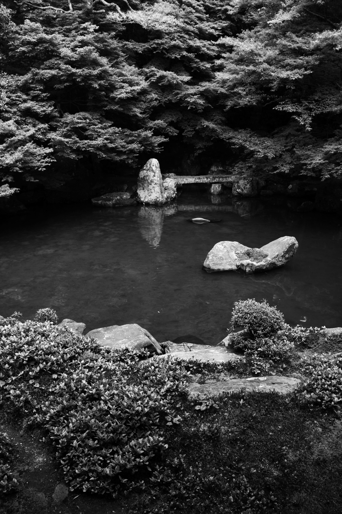 蓮華寺・池