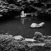 蓮華寺・池