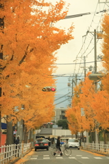 秋の街路樹　＃３
